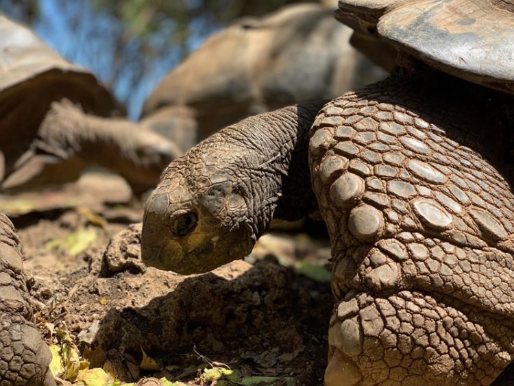 ชมภาพถ่ายจาก iPhone XS ฝีมือ Pete Souza และ Austin Mann ช่างภาพมืออาชีพ