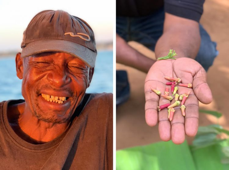ชมภาพถ่ายจาก iPhone XS ฝีมือ Pete Souza และ Austin Mann ช่างภาพมืออาชีพ