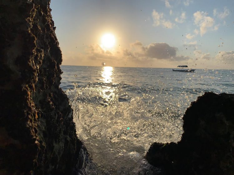 ชมภาพถ่ายจาก iPhone XS ฝีมือ Pete Souza และ Austin Mann ช่างภาพมืออาชีพ