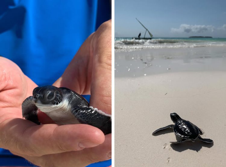 ชมภาพถ่ายจาก iPhone XS ฝีมือ Pete Souza และ Austin Mann ช่างภาพมืออาชีพ