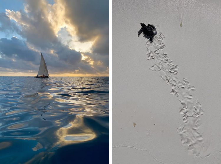 ชมภาพถ่ายจาก iPhone XS ฝีมือ Pete Souza และ Austin Mann ช่างภาพมืออาชีพ