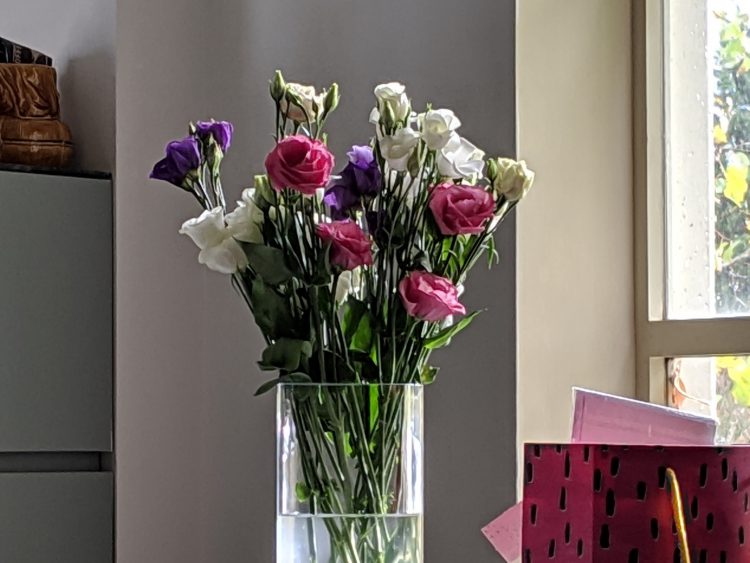 เปรียบเทียบกล้อง Google Pixel 3 vs Huawei P20 Pro วัดกันแบบช็อตต่อช็อต กล้องเลนส์เดียว จะสู้ 3 เลนส์ได้หรือไม่?