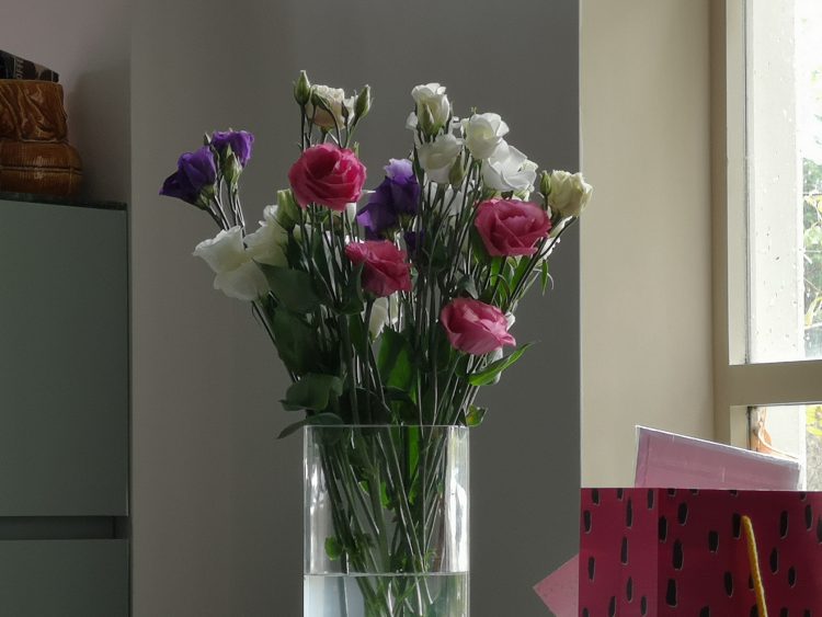 เปรียบเทียบกล้อง Google Pixel 3 vs Huawei P20 Pro วัดกันแบบช็อตต่อช็อต กล้องเลนส์เดียว จะสู้ 3 เลนส์ได้หรือไม่?