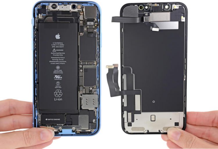 iPhone XR ถูกชำแหละแล้ว เผยให้เห็นฮาร์ดแวร์ภายใน ซึ่งมีส่วนผสมระหว่าง iPhone 8 กับ iPhone X