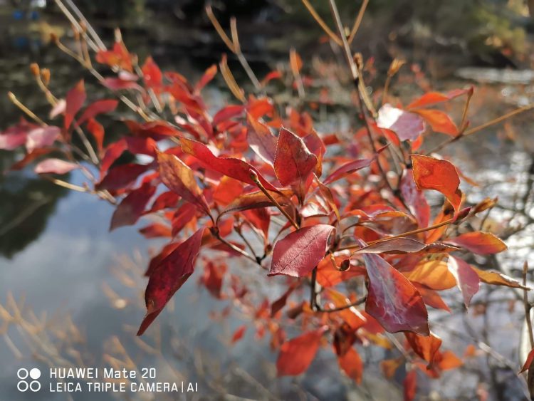 เจาะลึก Huawei Mate 20 สมาร์ทโฟนเรือธง สเป็คจัดเต็ม เทคโนโลยีจัดหนัก ในราคาที่น่าเป็นเจ้าของที่สุดในตอนนี้