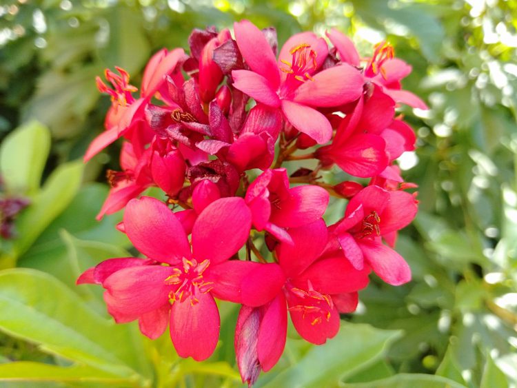 รีวิว OPPO A7 สมาร์ทโฟนดีไซน์พรีเมี่ยม มาพร้อมแรม 4GB แบตก้อนใหญ่ 4230mAh เล่นเกมดูหนังจุใจในราคา 6,990 บาท