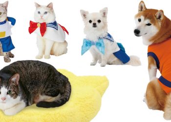 รวมชุดคอสเพลย์พร้อมของใช้จาก Sailor Moon และ Dragon Ball สำหรับน้องหมา-แมว ลิขสิทธิ์แท้จากญี่ปุ่น!!