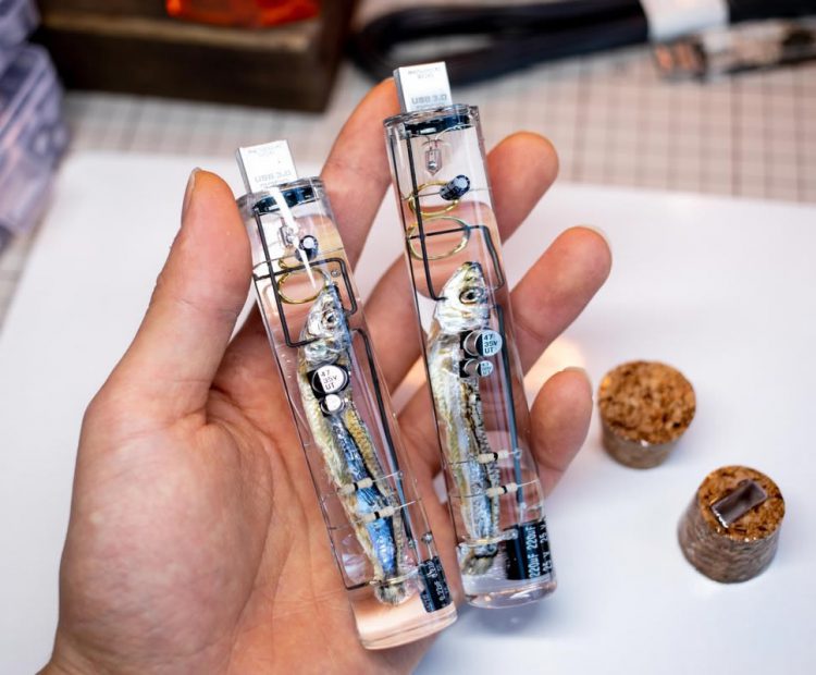 กล้าใช้มั้ย!! USB Flash Drive ที่ทำมาจากปลาตัวเล็กฝีมือชาวญี่ปุ่น