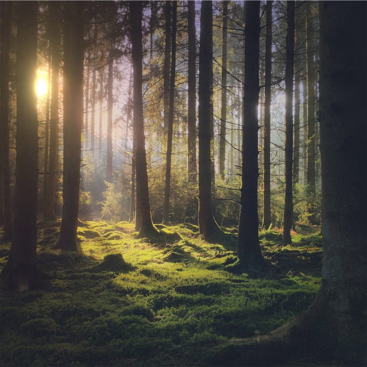 Apple ประกาศการแข่งขัน Shot on iPhone Challenge ซึ่งจะเปิดให้ส่งภาพเข้าร่วมระหว่างวันนี้ถึง 7 กุมภาพันธ์ 2562