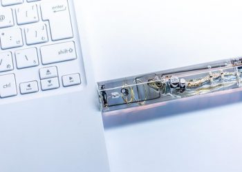 กล้าใช้มั้ย!! USB Flash Drive ที่ทำมาจากปลาตัวเล็กฝีมือชาวญี่ปุ่น