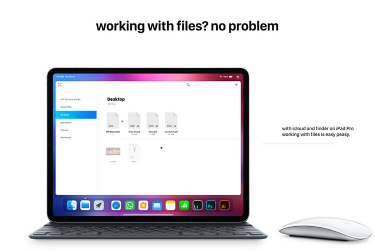 iPadPromeetsMagicMouse04 Flashfly Dot Net