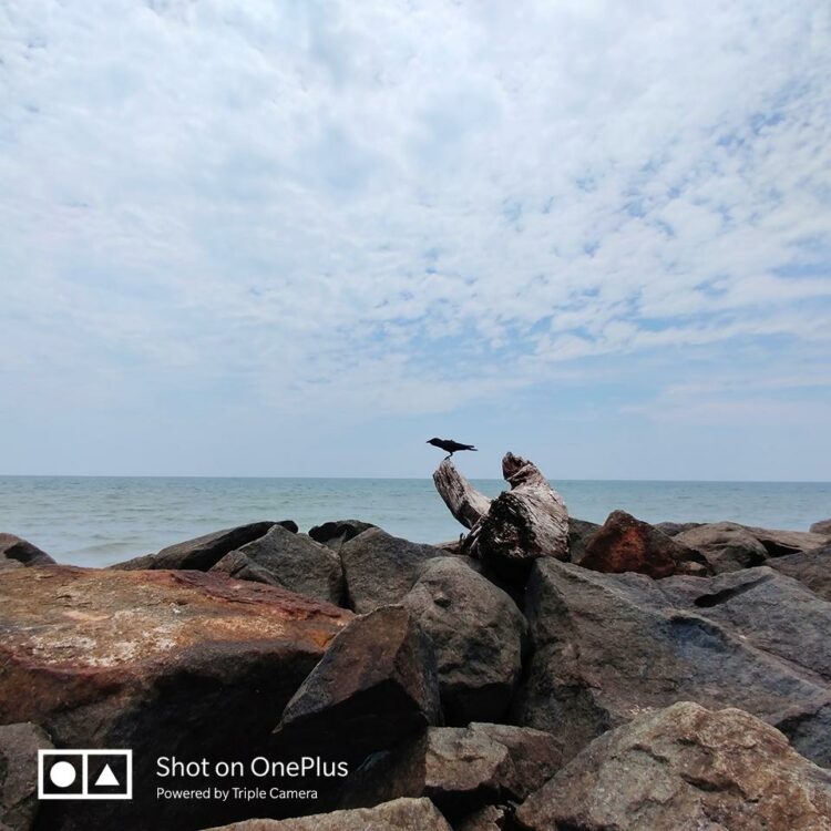 ชมภาพถ่ายจาก OnePlus 7 Pro ถ่ายด้วยกล้องหลัง 3 ตัว กล้องหลัก 48 ล้านพิกเซล F1.6 กล้องเทเลโฟโต้ 8 ล้านพิกเซล ซูม 3 เท่าไม่สูญเสียรายละเอียด และกล้องมุมกว้าง 117 องศา ความละเอียด 16 ล้านพิกเซล