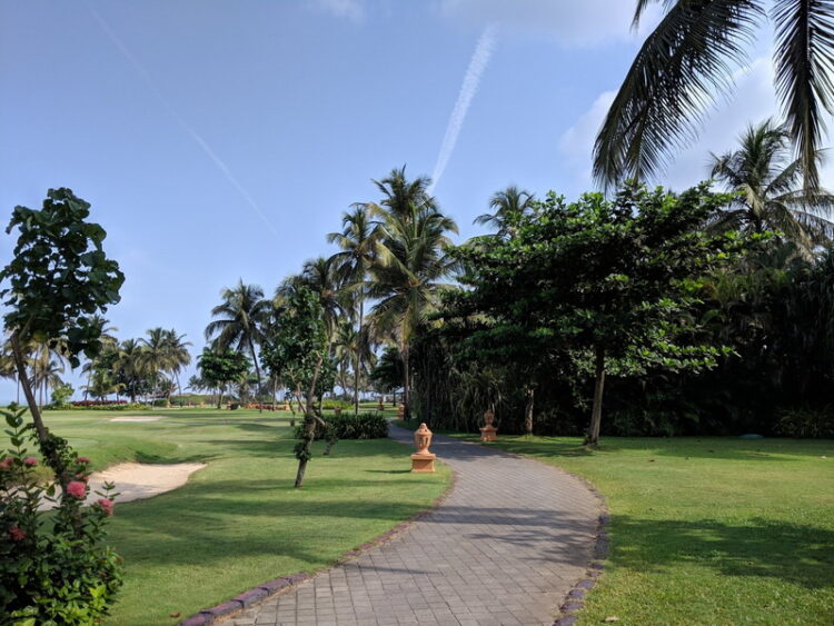 ชมภาพถ่ายจาก Pixel 3a XL ทั้งในสภาพแสงกลางวัน แสงน้อย และ Night Sight