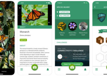 Seek by iNaturalist นี่คือแอพ Shazam สำหรับคนรักธรรมชาติ ช่วยระบุชนิดพืชและสัตว์ ดาวน์โหลดฟรี!!
