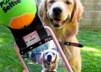 iOS 13 และ macOS Catalina รองรับระบบตรวจจับใบหน้าสุนัขและแมว