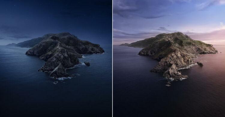 macOS Catalina มาพร้อมวอลเปเปอร์ใหม่ รูปภาพเกาะ Santa Catalina ที่สวยงาม สามารถดาวน์โหลดได้ที่นี่!!