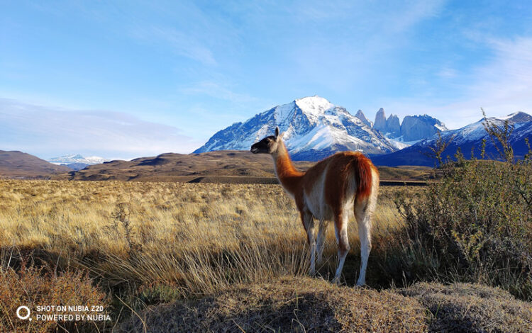 เผยภาพหลุด Nubia Z20 พร้อมชมตัวอย่างภาพถ่ายสุดแจ่ม ก่อนเปิดตัว 8 สิงหาคมนี้
