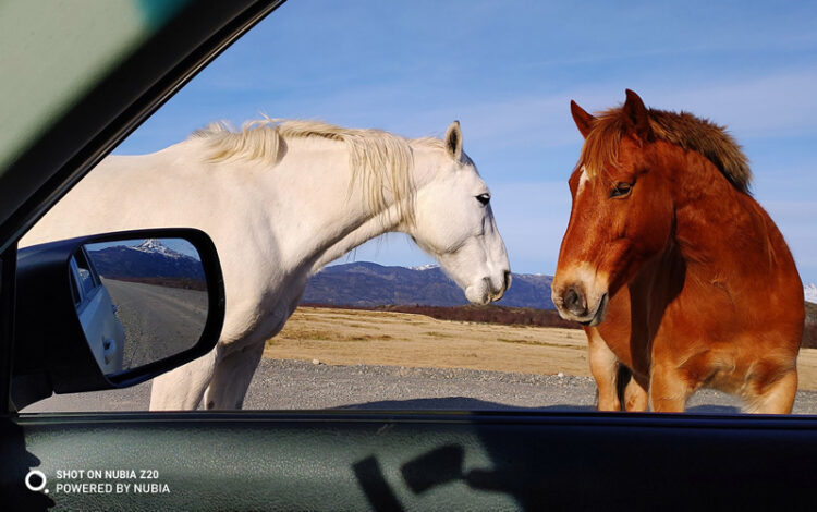 เผยภาพหลุด Nubia Z20 พร้อมชมตัวอย่างภาพถ่ายสุดแจ่ม ก่อนเปิดตัว 8 สิงหาคมนี้