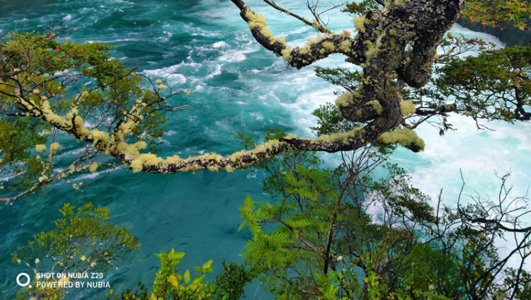 เผยภาพหลุด Nubia Z20 พร้อมชมตัวอย่างภาพถ่ายสุดแจ่ม ก่อนเปิดตัว 8 สิงหาคมนี้