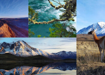 เผยภาพหลุด Nubia Z20 พร้อมชมตัวอย่างภาพถ่ายสุดแจ่ม ก่อนเปิดตัว 8 สิงหาคมนี้