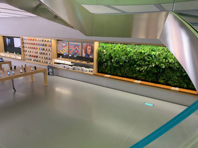 พาทัวร์ Apple Store สาขา Omotesando หลังจากได้รับการรีโนเวทใหม่ในรอบ 5 ปี พร้อมกำแพงต้นไม้สีเขียว (ชมคลิป)