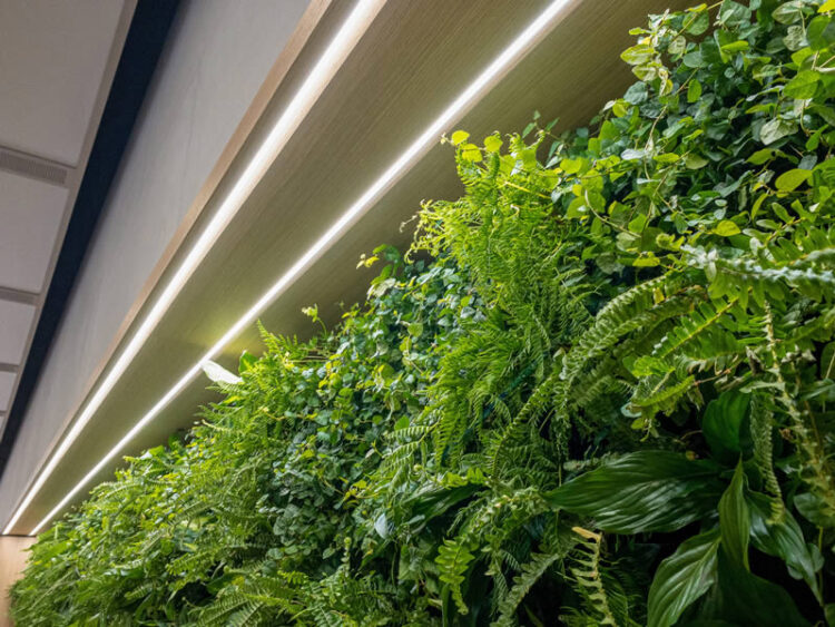 พาทัวร์ Apple Store สาขา Omotesando หลังจากได้รับการรีโนเวทใหม่ในรอบ 5 ปี พร้อมกำแพงต้นไม้สีเขียว (ชมคลิป)