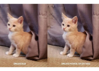 Sony พัฒนาเซ็นเซอร์ภาพใหม่ จับโฟกัสได้คมมากขึ้นและเร็วกว่าเดิม อีกทั้งยังลดปัญหาภาพเบลอ