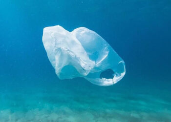 สำเร็จ!! ญี่ปุ่นผลิตถุงพลาสติก ย่อยสลายในทะเลได้ภายใน 180 วัน พร้อมวางจำหน่ายในกลางปีนี้