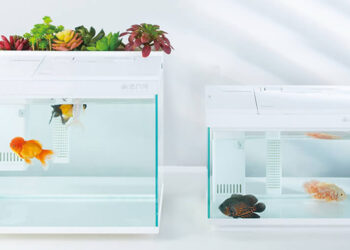 Xiaomi เปิดตัวตู้ปลาอัจฉริยะ AI Fish Tank มีระบบป้อนอาหารอัตโนมัติ สามารถควบคุมแสงและอุณหภูมิ ผ่านสมาร์ทโฟน