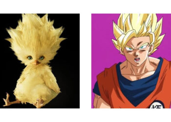 ชาวเน็ตล้อเลียน Chocobo Chick ในเกม Final Fantasy VII Remake ดูเหมือนทรงผมของซูเปอร์ไซย่า