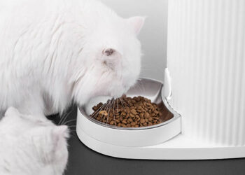 Xiaomi วางจำหน่าย Smart Pet Feeder เครื่องให้อาหารสัตว์เลี้ยงอัตโนมัติ ควบคุมผ่านสมาร์ทโฟน