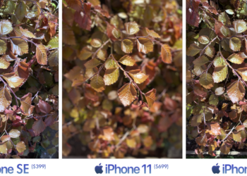 เปรียบเทียบภาพถ่ายจากกล้อง iPhone SE รุ่น 2 ,iPhone 11 และ iPhone XR จะแตกต่างอย่างไร (ชมคลิป)