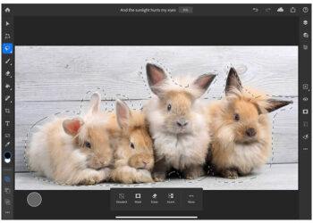 Adobe เพิ่มเครื่องมือใหม่ Refine Edge Brush และ Rotate Canvas ให้กับแอพ Photoshop สำหรับ iPad