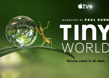 Apple TV+ เผยตัวอย่าง TINY WORLD ซีรีส์สารคดีต้นฉบับเรื่องใหม่จาก Apple จะเริ่มฉายพร้อมกันทั่วโลกในวันศุกร์ที่ 2 ตุลาคม 2563