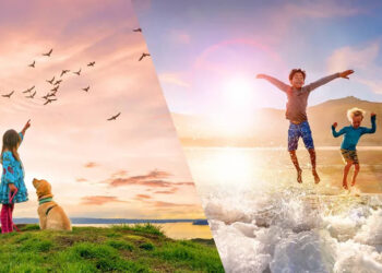 Adobe เปิดตัว Photoshop Elements 2021 และ Premiere Elements 2021