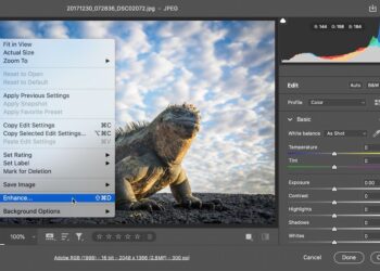 Adobe เปิดตัวฟีเจอร์ Super Resolution สำหรับ Adobe Camera Raw เพิ่มความคมชัดให้กับภาพถ่าย