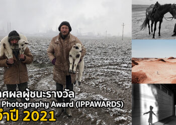 ประกาศผลผู้ชนะรางวัล iPhone Photography Award (IPPAWARDS) ประจำปี 2021 พร้อมชมภาพทั้งหมดได้ที่นี่