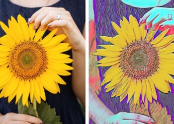 Adobe เปิดตัว Photoshop Elements และ Premiere Elements 2022 แอปแก้ไขรูปภาพและวิดีโออย่างง่าย