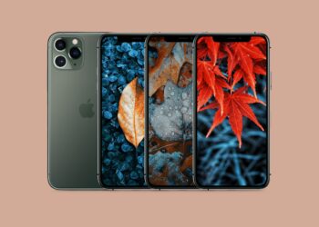 แจก Wallpaper ภาพื้นหลัง iPhone ลายฤดูใบไม้ร่วงสวยๆ ดาวน์โหลดได้ที่นี่