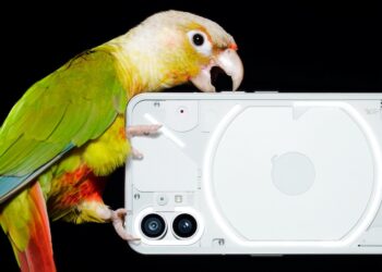 Nothing phone (1) เผยโฉมทางการแล้ว พร้อมยืนยันเปิดตัวในไทย 12 กรกฎาคมนี้