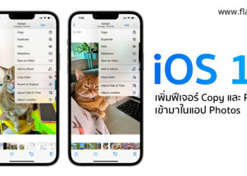 iOS 16 เพิ่มฟีเจอร์ Copy และ Paste เข้ามาในแอป Photos