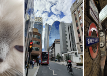 Nothing Phone (1) ปล่อยตัวอย่างภาพถ่ายออกมาให้ชม ก่อนเปิดตัว 12 กรกฎาคมนี้