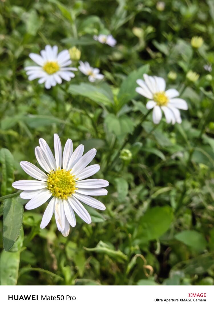 รีวิว HUAWEI Mate 50 Pro ดีไซน์สุดพรีเมี่ยม หน้าจอพันล้านสี 120Hz มาพร้อมกล้อง XMAGE ปรับรูรับแสงที่กล้องหลังได้แบบกล้องโปร ชาร์จเร็ว 66W HUAWEI SuperCharge