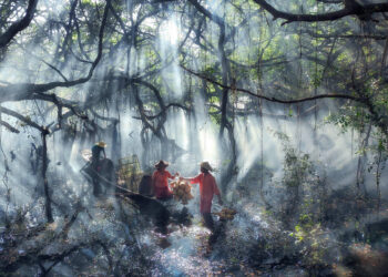 Xiaomi ประกาศรางวัลผู้ชนะ Xiaomi Imagery Awards 2022 งานประกวดภาพถ่ายระดับโลก