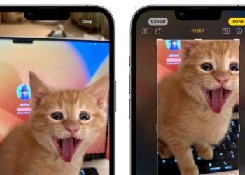 แอป Photos ใน iOS 17 ช่วยให้ผู้ใช้งาน Crop รูปภาพได้ง่ายขึ้น