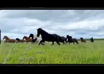 Apple มีแผนนำจอแสดงผล LTPO3 มาใช้กับ iPhone ในอนาคต เพื่อเพิ่มประสิทธิภาพ และอายุการใช้งานแบตเตอรี่