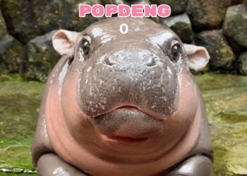 เกม POPDENG กำลังมาแรง ล่าสุดไอซ์แลนด์ทำคะแนนแซงหน้าไทยไปแล้ว