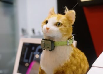 PetPhone สมาร์ทโฟนรุ่นแรกของโลกสำหรับสัตว์เลี้ยง เปิดตัวที่งาน MWC 2025
