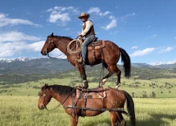 OpenAI เปิดตัว Sora 2 โมเดล AI ช่วยสร้างเสียงและวิดีโอที่สวยงามสมจริงยิ่งขึ้น